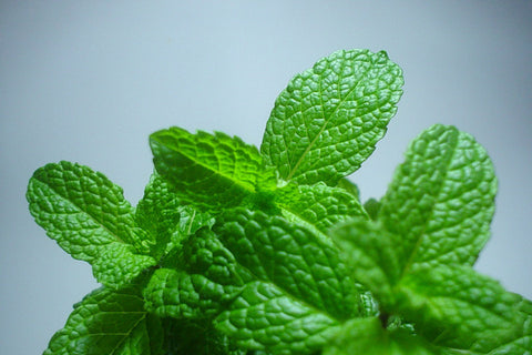 Kentucky Derby 2017 - The Classic Mint Julep - It's easier than you think!